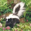Folkmanis Skunk Hand Puppet