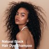 Black Hair Dye 16.9 Fl Oz, Argan Oil Natural Black Hair Shampoo, 3 in 1 Hair Dye Shampoo, Easy To Use, Semi-Permanent Hair Color Shampoo (Black)