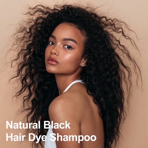 Black Hair Dye 16.9 Fl Oz, Argan Oil Natural Black Hair Shampoo, 3 in 1 Hair Dye Shampoo, Easy To Use, Semi-Permanent Hair Color Shampoo (Black)