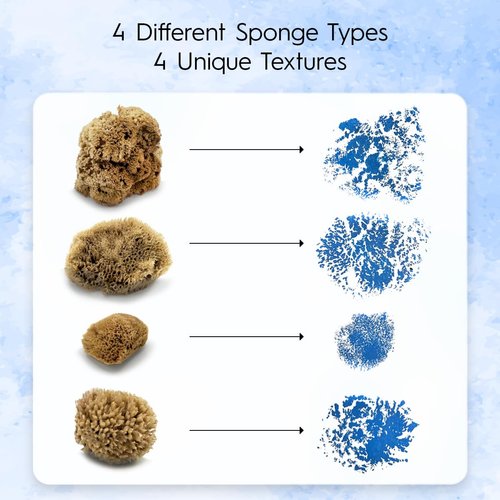 Naroa Artist Natural Sea Sponges for Painting | Unique Sponges Set Unbleached | Great for Artists & Children | Acrylic, Watercolor, Marbling, Texturing, Pottery, Ceramics (Artist - 4 Pack)