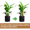 2 Pcs 12 Inches Coir Moss Poles for Climbing Plants with 4 Pcs Adjustable Plant Twist Ties - Coir Moss Totem Stick for Creepers Plant Support Extension, Climbing Indoor Plants(Total 20 Inch)