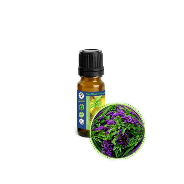 10ml (1/3oz) Heliotrope (Heliotropium Arborescens) Absolute Essential Oil