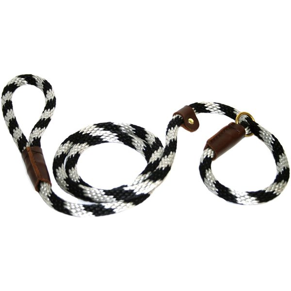Lone Wolf Slip Lead with Leash and Collar for Pets, 1/2 by 6-Feet, Black/Silver Spiral