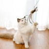 SUBANG 6 Pieces Cat Feather Toys Replacement Cat Toy Wand Refills Cat Toy Replacement Natural Bird Feathers for Cat Toys