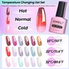 AIMEILI Chameleon Gel Nail Polish Hema Free Color Changing Nail Polish Gel U V Gel Polish Manicure Kit Set Of 6pcs X 10ml - Kit Set 66