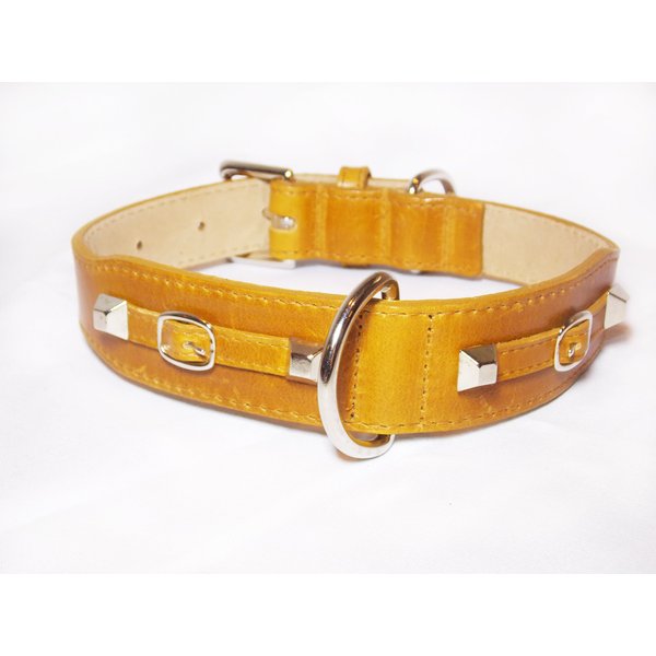 Balencioochee Tabbed Dog Collar, Buckles, Medium Size 11-14, Cumin with Silver Buckles