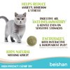beishan Catnip Balls, 8 ct - Cat Ball Toy - Kitten Toys - Cat Nip Ball Cat Toy - Cat Lick Ball - Cat Nip Cat Toys - Natural Catnip Ball for Cats of All Breeds, Green