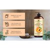 Handcraft Blends Apricot Kernel Oil - 16 Fl Oz - 100% Pure and Natural - Premium Grade Oil for Skin and Hair - Carrier Oil - Hair and Body Oil - Massage Oil - Cold-Pressed and Hexane-Free