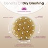Dry Skin Body Brush - Adjustable Strap with Massage Nodes - Natural Bristle - Removes Cellulite & Dead Skin,Exfoliates, Improves Lymphatic Functions, Stimulates Blood Circulation,Tightens Skin