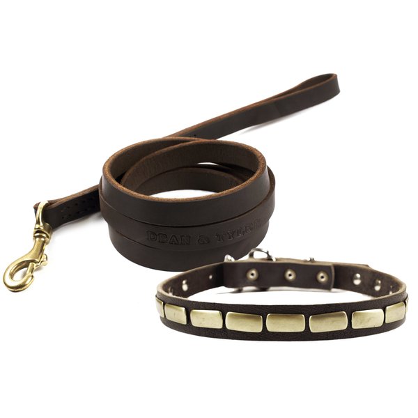 Dean and Tyler Bundle - One "Plated Beauty" Collar 38-Inch by 1-Inch With One Matching "No Assumptions" Leash, 6 FT Solid Brass Snap Hook - Brown