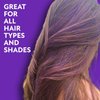Fun In by Sun In, Temporary Hair Color Brush In System, Purple - 1 oz