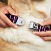 Dog Collar Seatbelt Buckle Guitar Neck Black White Pink 15 to 26 Inches 1.0 Inch Wide