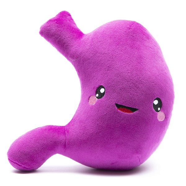 nerdbugs Stomach Plush/Gastric Bypass/Get well gift/Health education toy/IBS gift/Gastric sleeve gift/Surgery Gift/Gastroenterology Gift/Gastric Ulcer gift