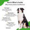 Pet Wellbeing Urinary Gold for Dogs - Vet-Formulated - Canine Urinary Tract Health, Supports Normal Urinary pH - Natural Herbal Supplement 2 oz (59 ml)