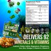 Sea Moss Gummies - Irish Seamoss Gummies for Adults & Kids - Advanced Superfood Supplement with Natural Sea Moss Gel, Bladderwrack & Burdock Root Extract - 60 Vegan Irish Moss Gummy Bears