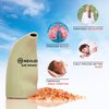 Nevlers Easy to Use Ceramic Himalayan Salt Inhaler | Natural Salt Inhaler for Allergy and Asthma Relief - Includes 6 Oz of Pure Himalayan Pink Salt | Salt Inhaler Himalayan for Asthma - Olive Color