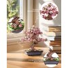 Rolife 3D Wooden Puzzle Flower for Adults, DIY Sakura Bonsai Tree Plants for Home Table Decor, Creative Cherry Blossom Crafts Birthday Model Building Kits Toys