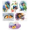 Better Office Products 50-Pack All Occasion Greeting Cards Box Set, 4 x 6 inch, 50 Assorted Blank Note Cards & 50 Envelopes, 6 Butterfly & Birds Designs, Blank Inside, 50 Pack
