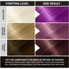 Punky Purple Semi Permanent Conditioning Hair Color, lasts up to 35 washes, 3.5 Fluid Ounce