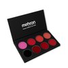 Mehron Makeup Highly Pigmented Semi-Matte LIP Cream (8 Color Palette: Spicy)