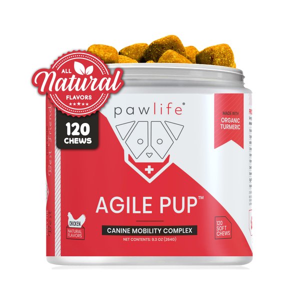 pawlife Arthritis Dog Joint Chews| Glucosamine, Chondroitin, Omega-3| MSM Support for Healthy Joints| 120 Veterinarian Formulated Soft Chews| Up to 4-Month Supply