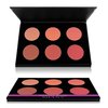 SHANY Shimmer & Matte Warm-Toned Blush Palette - Layer 6 - Refill for the 6 Layer Mini Masterpiece Collection Makeup Set