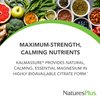 NaturesPlus KalmAssure Magnesium Powder - 1.15 lb - Orange Flavor - Supports Nerve and Muscle Relaxation - Non-GMO, Gluten Free, Vegan - 60 Servings