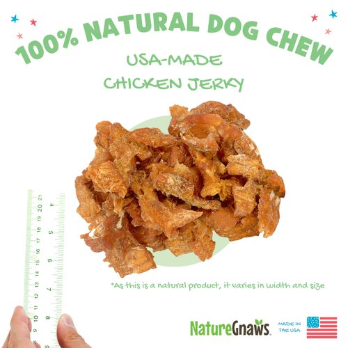 Nature Gnaws Chicken Jerky for Dogs – Made in The USA – Premium Natural Grain Free Dog Chew Treats – 1lb
