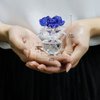 H&D HYALINE & DORA Blue Crystal Rose Flowers Figurines Ornament with Gift Box