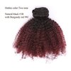 Anrosa Kinkys Curly Clip in Hair Extensions Human Hair 3C 4A Afro Kinky Curly Clip ins Natural Hair Real Remy Thick Human Hair Extensions for Black Women (10 inch, Ombre #1B/99J)