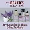Mrs. Meyer's Clean Day Foaming Hand Soap, Lavender Scent, 10 Fl oz (Pack of 2)