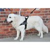 DT Universal No Pull Dog Harness, No Petting Please, Black, Medium, Fits Girth Size: 26-Inch to 32-Inch