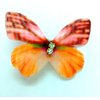 Generic Butterfly hair clips, 6 Count (Pack of 1), Pink,Blue,Green,Yellow,etc.
