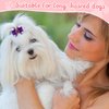 Reginary 300 Pack Dog Bows Grooming Cute Dog Hair Bows Girl with Rubber Bands Small Puppy Bowknots Colorful Hair Accessories for Dogs Puppies Pets Gift