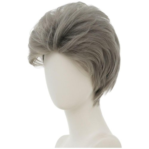 Tseses Grey Short Wigs for Men Anime Synthetic Layered Fluffy Heat Resistant Cosplay Costume Hair Wig