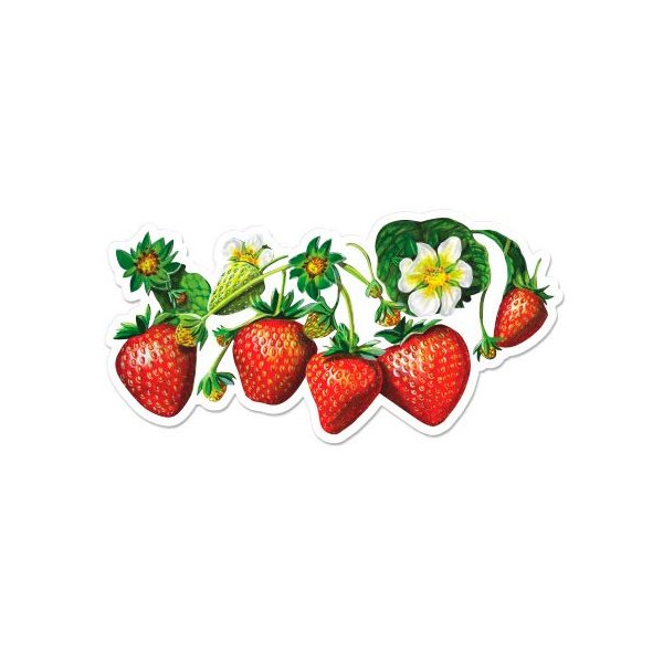 GT Graphics Express Strawberries - 12" Vinyl Sticker Waterproof Decal