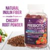 Nature's Fiber Gummies for Adults 4g, Daily Prebiotic Gummy Fiber Supplement, Digestive Health Support - Supports Regularity & Digestion for Adults, Plant Based Soluble Fiber, Non-GMO - 120 Gummies