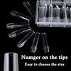 LoveOurHome 240pc XXL Square Gel x Nail Tips Extra Long Clear Tapered Square Fake Nails Full Cover Artificial False Nails 12 Sizes for Gel X Acrylic Nail Extension