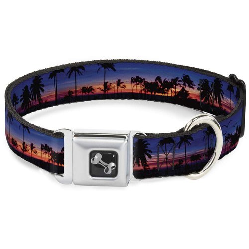 Buckle-Down Dog Collar Seatbelt Buckle California Sunset 15 to 26 Inches 1.0 Inch Wide