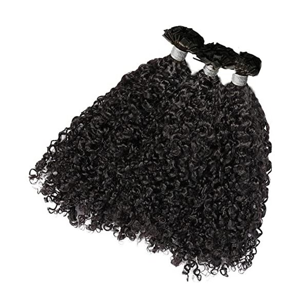 RJ HAIR Curly Flat Tip Extensions Black Brown Human Hair U Tip Hair Extensions Pre Bonded Flat Tip Hair Extensions Balayage Keratin Flat Tip Remy Hair 100g (16inch 100 Strand, Natural Color)