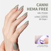 CANNI Light Green Gel Nail Polish, 1Pcs Sage Green Gel Polish Mint Green Color Nail Polish Gel High Gloss Soak Off U V Gel Nail French Nail Manicure Salon DIY