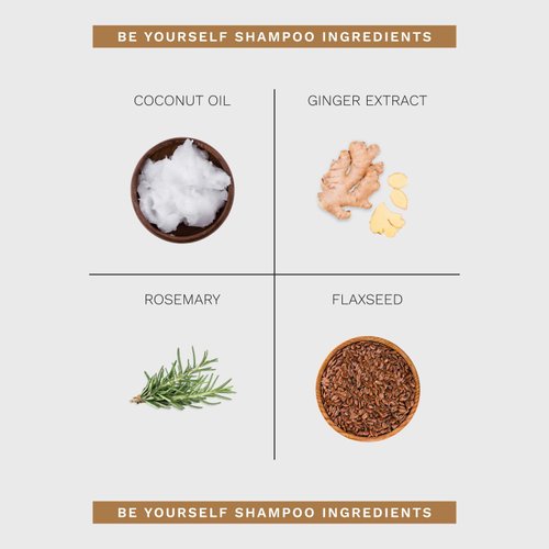 Ginger Milk Hydrating Shampoo for Curly, Wavy, and Coily Hair - Nourishing Formula for Defined Curls, Frizz Control, and Shine - Sulfate-Free | Be Yourself 16 fl oz