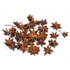 Slofoodgroup Whole Star Anise - For Cooking, Pickling and Spice Mixes - 1 Ounce