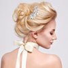 PAGOW 2Pcs Crystal Flower Bridal Hair Clips, Silver Bride Wedding Hair Accessories Hair Pins, Rhinestone Flower Wedding Headpiece for Brides Women Girls