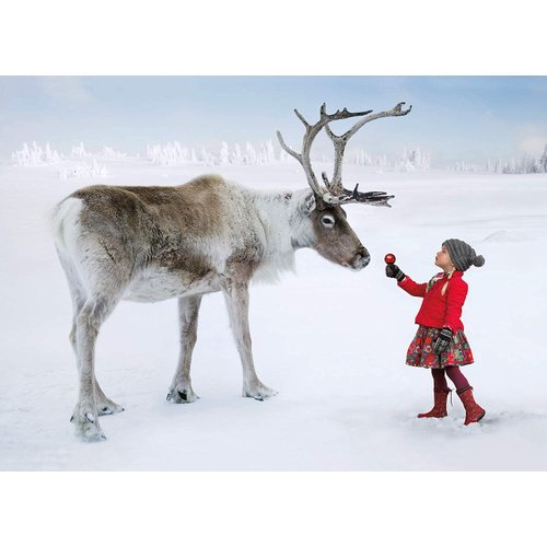 Psaris Productions Girl and Reindeer Christmas Cards Boxed With Envelopes Set of 12 Holiday Cards and 12 Envelopes. Made in USA.