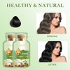 HUANG YI Bubble Plant Hair Dye Natural,New Botanical Bubble Hair Dye 20ml 10Packs/Box,Hair Dye for Gray Hair Coverage,Fruitcolor Hair Dyeing Cream Natural Plant Hair Dye Shampoo for Women Men (Black)
