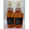 Set of 2 Citrus & Vetiver Gentle Foaming Hand Soap 8.75 Ounce