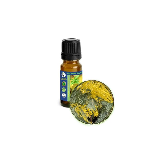 Mimosa Absolute Essential Oil (Acacia Dealbata) - Pure & Natural, Uncut, Undiluted - Therapeutic, Cosmetic, Aromatherapy, Perfumery - 10ml (1/6 oz)