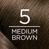 L'Oreal Paris Excellence Creme Permanent Hair Color, 5 Medium Brown, 100 percent Gray Coverage Hair Dye, Pack of 3