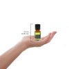 Plantlife Awake Aromatherapy Essential Oil Blend - Straight from The Plant 100% Pure Therapeutic Grade - No Additives or Fillers - Made in California 10 ml